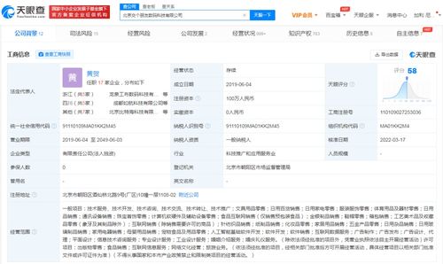 人工智能基礎軟件開發(fā) 構建智能未來的技術基石